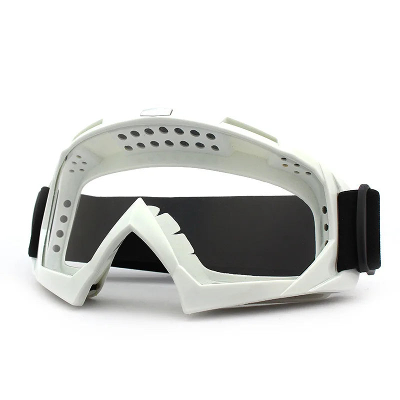 Winter Windproof Ski Goggles